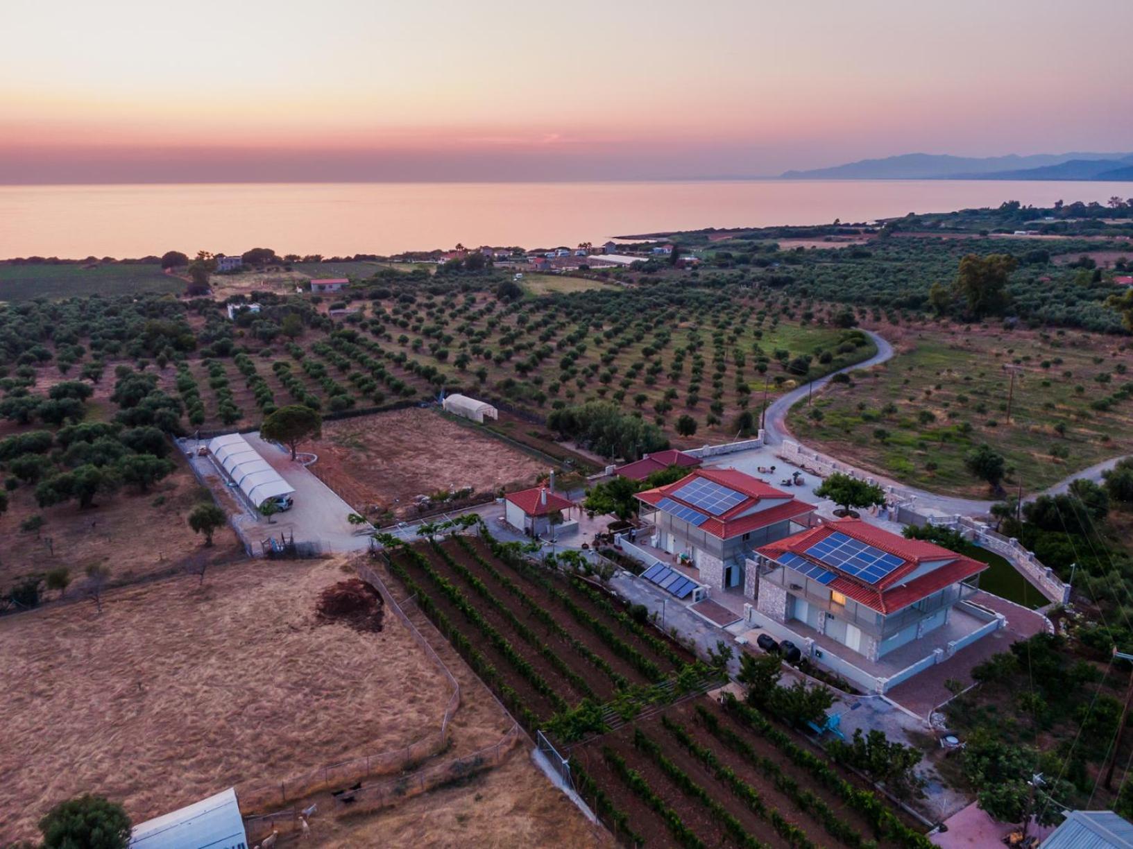 Terra Helios Suites & Studios Kyparissia Luaran gambar